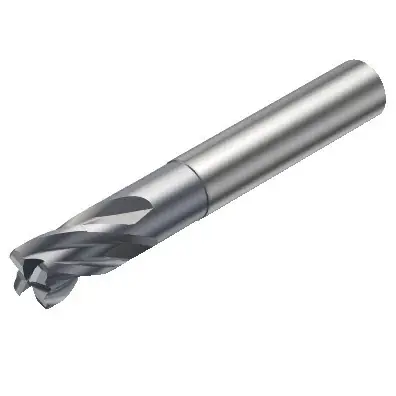 Kundfavorit FRÄS R216.22-03030BAI03G1610