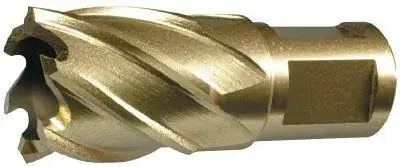 KÄRNBORR 25X50MM HSS Snabb frakt
